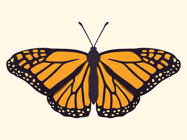 蘑菇视频年度盘点来袭｜影视解压专区视频分类回顾特辑