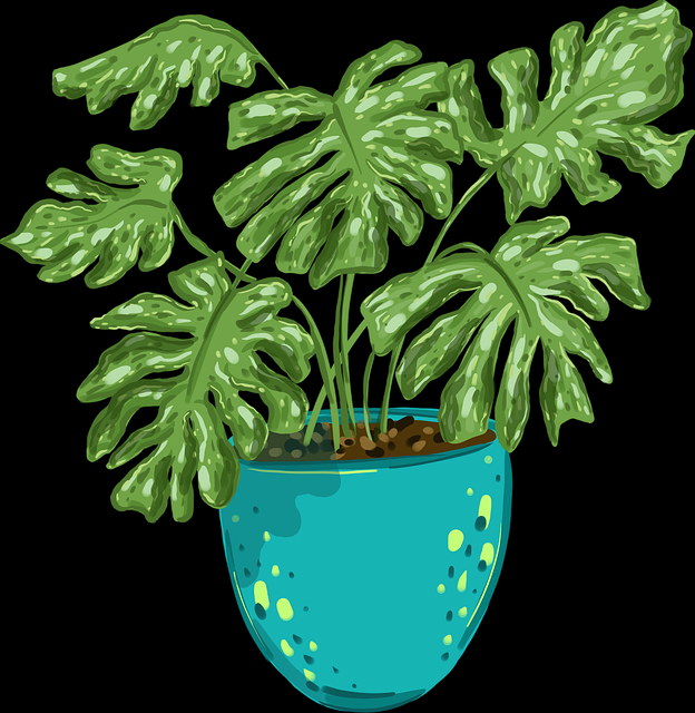 蘑菇视频电脑版年度大片全收录｜片段剪辑教学带你看遍热门影视