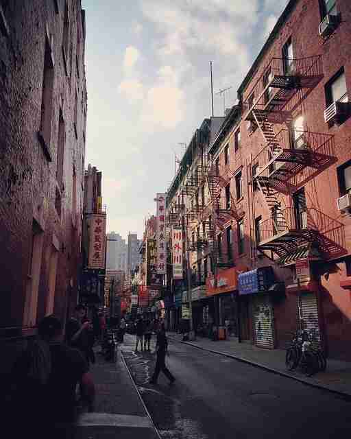 蘑菇视频电脑版更新一览｜独家内容揭秘专题内容持续火爆