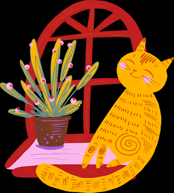 蘑菇影视官网板块划分变动｜影迷社区互动引发体验讨论