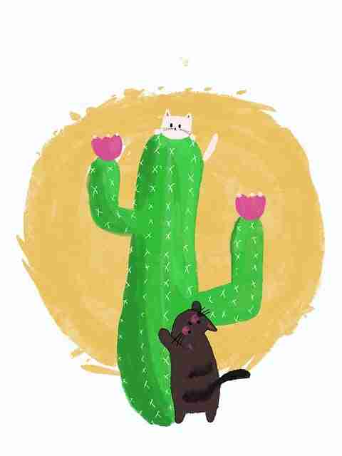 蘑菇视频电脑版年度盘点来袭｜影视解压专区视频分类回顾特辑