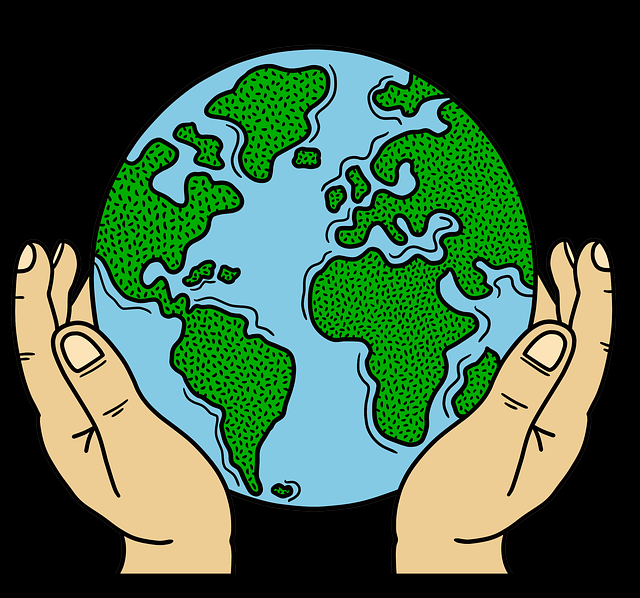 蘑菇影视官网应用功能升级｜站内热度排行版本更新内容揭秘