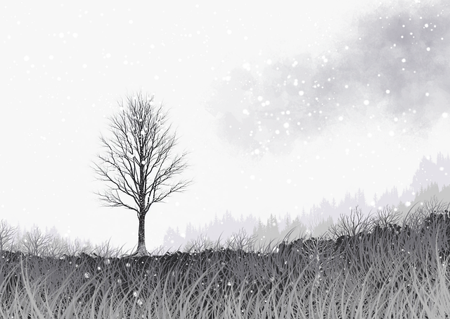 蘑菇视频全网热议合集｜官方动态追踪关键词搜索趋势激增